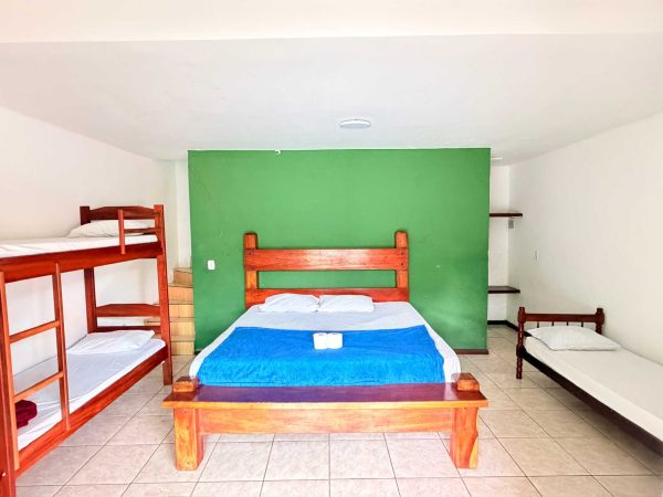 duplex (8)