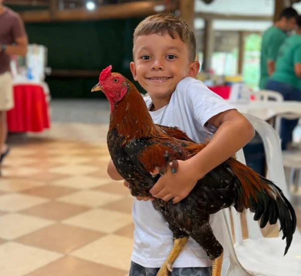 fazendinha (7)